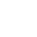 savenow.hu logó_fehér